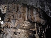 A formation of stalagmites deep underground in Postojna Cave.