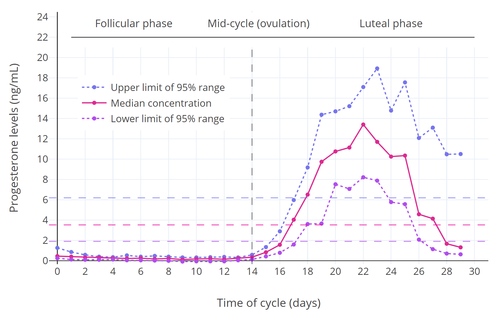 Progesterone levels across the menstrual cycle in normally cycling and ovulatory women. The horizontal lines are the mean integrated levels for each curve. The vertical line is mid-cycle. Progesterone levels across the normal menstrual cycle in women.png