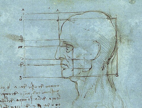 Proportions of the Head.jpg