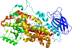 Протеин ALOX12 PDB 2ABU.png