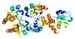 Ақуыз BIRC7 PDB 1oxn.png