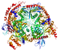 Thumbnail for Exosome component 8