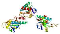 Протеин SCO1 PDB 1wp0.png