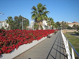 Ponte di fiori.jpg