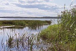 Ån Rõngu jõgis utflöde i sjön Võrtsjärv.