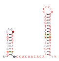 Thumbnail for FtsZ-DE RNA motif