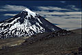 Volcan Lanín aus Nordwesten