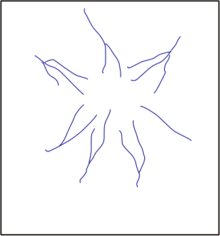 radial drainage pattern