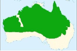 Carte de répartition du pardalote à sourcils rouges.jpg