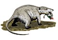 Repenomamus - мезозойдағы ең ірі аң.