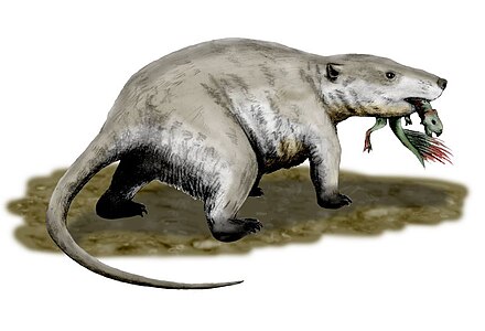 Repenomamus was the largest mammal of the Mesozoic.