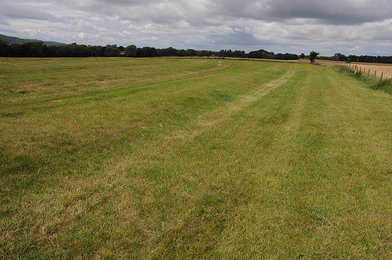 File:Ridge and furrow at Wormington - geograph.org.uk - 2516712.jpg