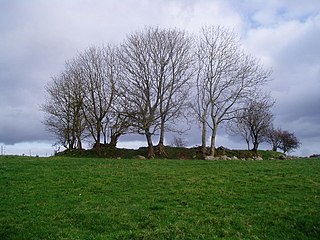 Cabragh Ringfort