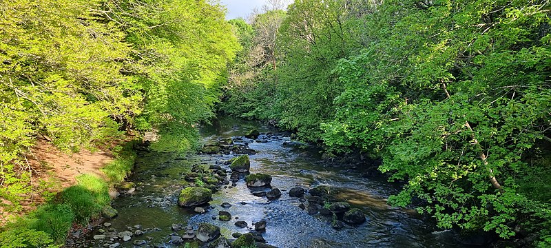 File:River Almond.jpg