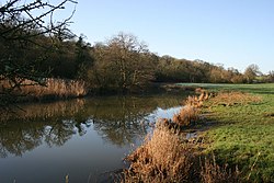 River Stour - geograph.org.uk - 381964.jpg