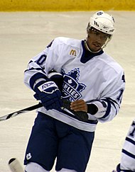 Earl during his tenure with the Toronto Marlies. Robbie Earl preseason 07-08.jpg