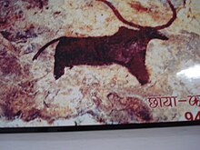 Rock painting in Bhanpura Rock painting Bhanpura1.JPG