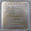 Rudolf Borgzinner botlása
