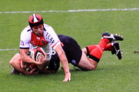 people_wikipedia_image_from Matt Giteau