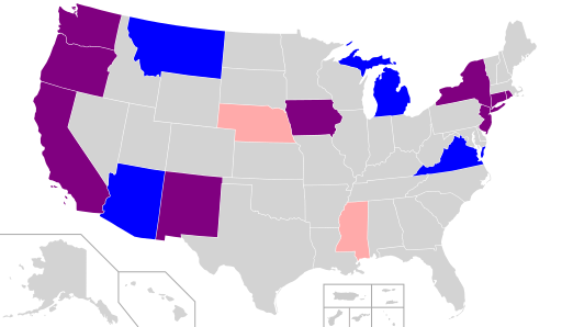 File:Same-sex adoption in the US.svg