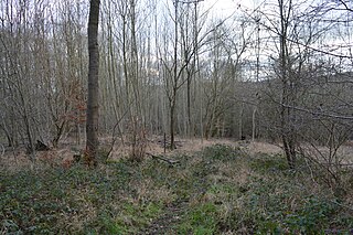 <span class="mw-page-title-main">Sands Bank</span> Local nature reserve in Buckinghamshire, England