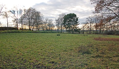 Schlüsselburg Burgstall vom Schafstall