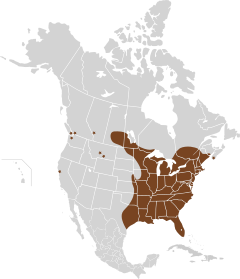 Sciurus carolinensis map North America.svg