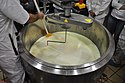 Separating the curd and whey.jpg