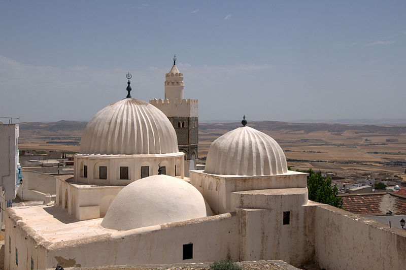 File:Sidi Bou Makhlouf roof.jpg