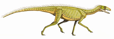 Silesaurus1.jpg