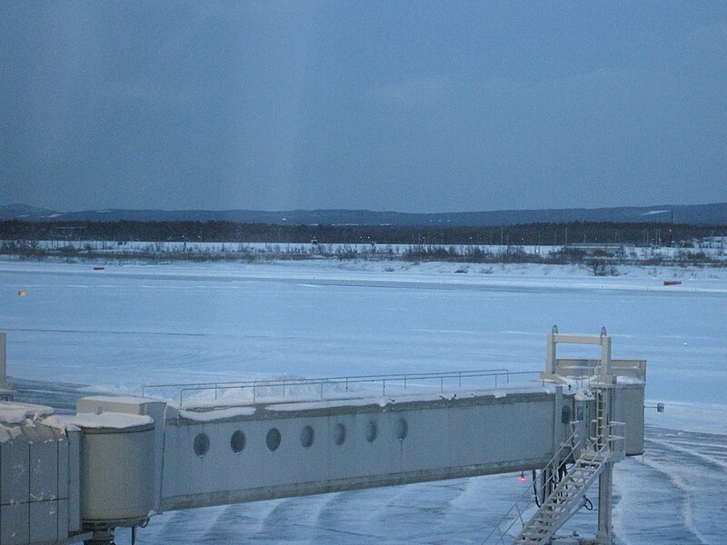 File:Snowing Shin-Chitose Airport 20090220.JPG