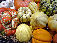 An assortment of winter squashes