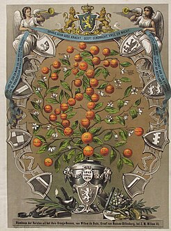 Stamboom van het huis Oranje-Nassau van graaf Willem de Oude tot en met koning Willem III