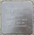 Stolperstein Parchim Rosenberg Meta