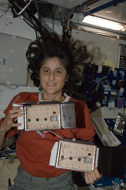 Sunita Williams in the ISS holding two spider habitats from the competition