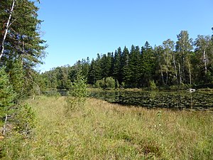 Finnsmossen från sydväst den 2 september 2021.