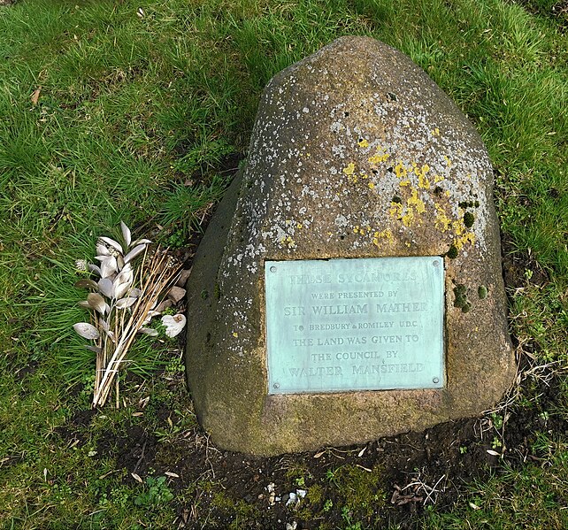 File:Sycamore corner - geograph.org.uk - 6082841.jpg