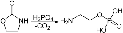 Synthese von Phosphoethanolamin