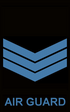 TaT-Air Guard-OR-06.png
