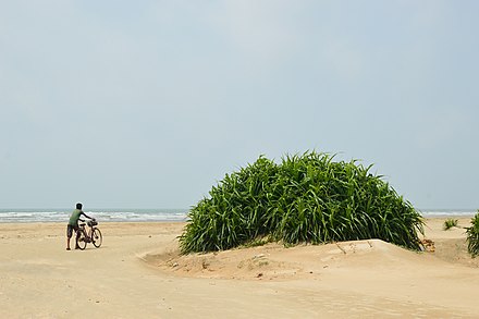 Tajpur beach. May 2015. Tajpur Beach - East Midnapore 2015-05-02 9069.JPG