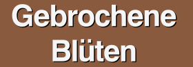 Brottsplats bruten blueten.svg