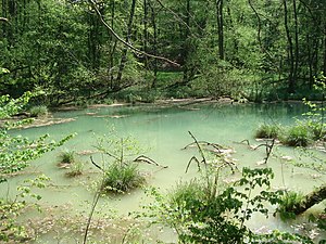 Teufelsloch (karst spring) .JPG