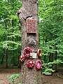 War memorial oak tree in Bexley Woods, Bexley.