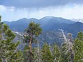 Vignette pour San Gabriel Mountains National Monument