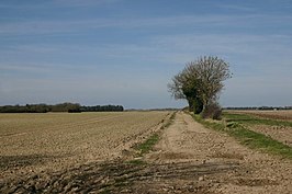 Landschap rond Undley