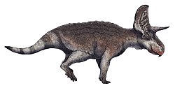 Възстановяване на живота на Turanoceratops tardabilis.jpg