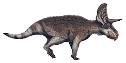 A Turanoceratops rekonstrukciója