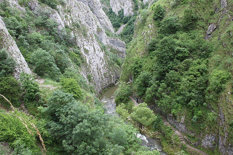 File:Turda Gorges (4672941294).jpg