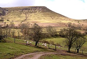 Twmpa: Mynydd (690m) ym Mhowys