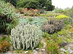 University Of California Botanical Garden